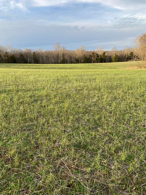 0 Epps Rd, Southside, TN 37171 photo 2