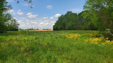 1109 Sr 50, Pelham, TN 37366 photo 1