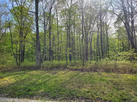 0 Bob Cat Ct, Hurricane Mills, TN 37078