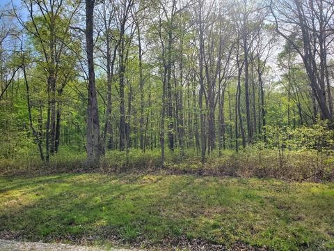 0 Bob Cat Ct, Hurricane Mills, TN 37078