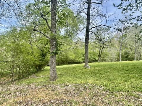 217 Circle Dr, Dover, TN 37058 photo 25