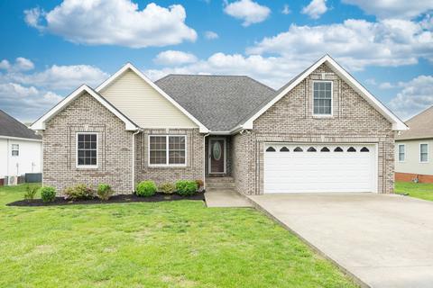 145 Brandywine Ln, Springfield, TN 37172 photo 1