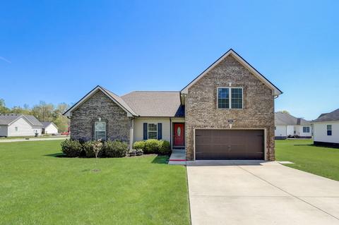 226 Brandywine Ln, Springfield, TN 37172 photo 1