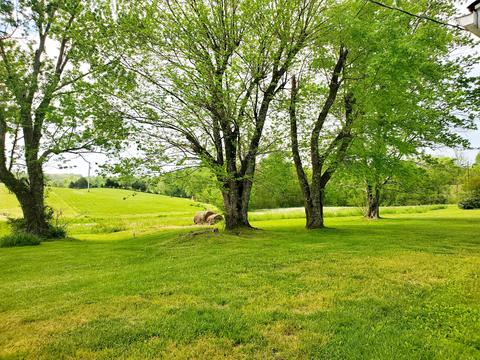 8340 Austin Bottom Rd, Baxter, TN 38544 photo 6