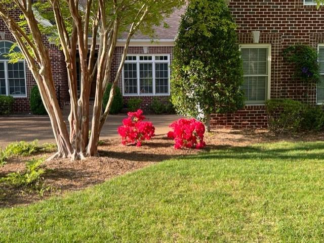 238 Polk Place Dr, Franklin, TN 37064 photo 4