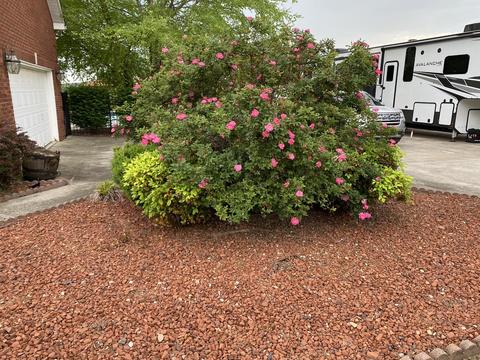 1525 Carter Rd, Decherd, TN 37324 photo 56