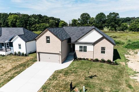 337 Brandywine Ln, Springfield, TN 37172 photo 1