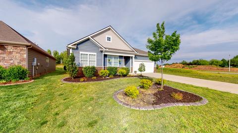 6208 Birchtree Dr, Murfreesboro, TN 37128 photo 35