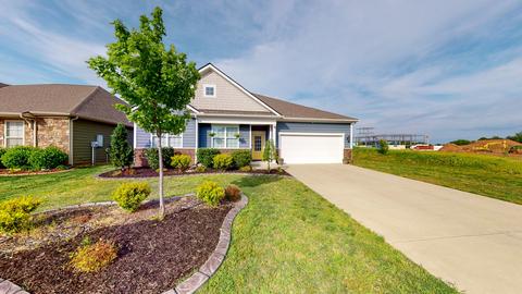 6208 Birchtree Dr, Murfreesboro, TN 37128 photo 36