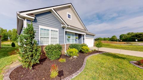 6208 Birchtree Dr, Murfreesboro, TN 37128 photo 34