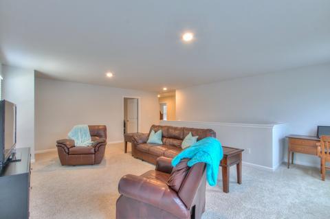 244 William Dylan Dr, Murfreesboro, TN 37129 photo 19