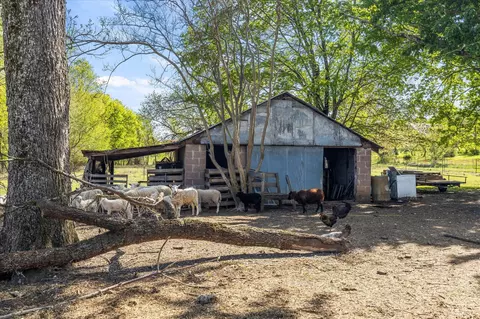 7610 Davidson Rd, Chattanooga, TN 37421 photo 8