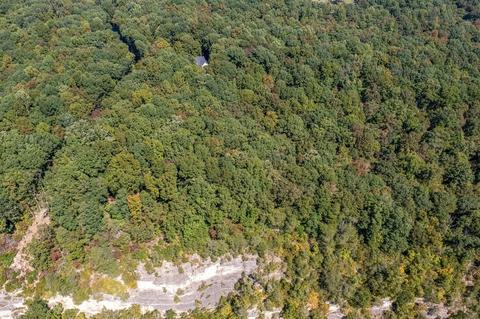 2346 Wolfe Rd, White Bluff, TN 37187 photo 44