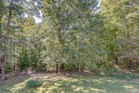2346 Wolfe Rd, White Bluff, TN 37187 photo 37