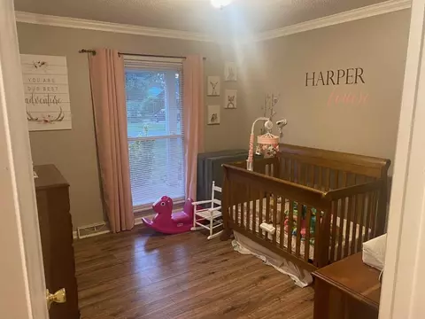 118 Horn Ave, Loretto, TN 38469 photo 11