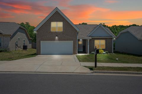 1038 Berra Dr, Springfield, TN 37172 photo 27