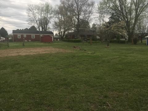 212 Pitt Ln, Springfield, TN 37172 photo 2