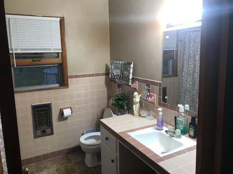 212 Pitt Ln, Springfield, TN 37172 photo 9