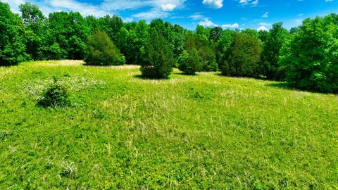 3756 E Trimble Rd, Milton, TN 37118 photo 15