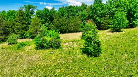 3756 E Trimble Rd, Milton, TN 37118 photo 14