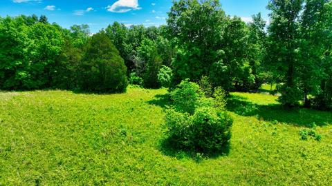3756 E Trimble Rd, Milton, TN 37118 photo 16