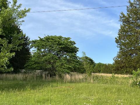 3756 E Trimble Rd, Milton, TN 37118 photo 56