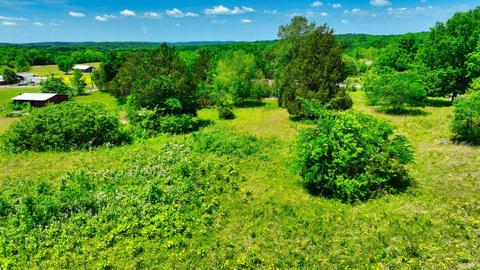 3756 E Trimble Rd, Milton, TN 37118 photo 13