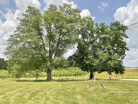 491 Love Rd, Morrison, TN 37357 photo 4