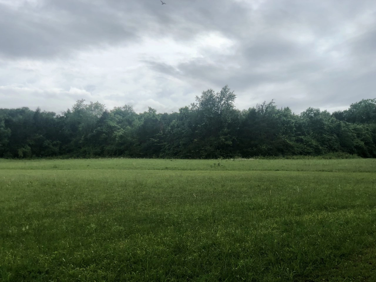 5 Breckenridge Gln Dr  