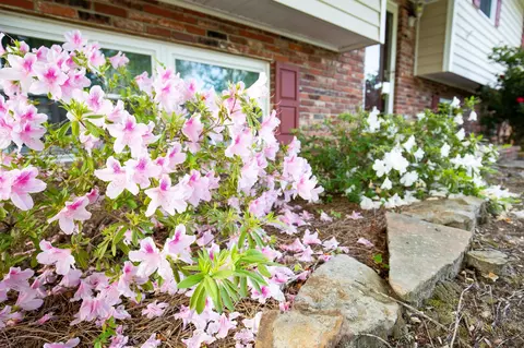 6427 Mill Stream Dr, Harrison, TN 37341 photo 7