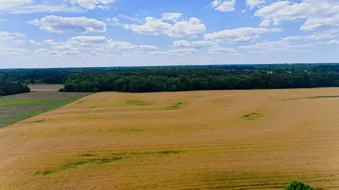 2 Miller Ln, Elkmont, AL 35620