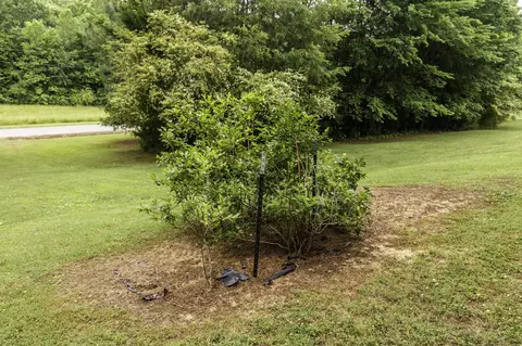701 Littrell Rd, Loretto, TN 38469 photo 12