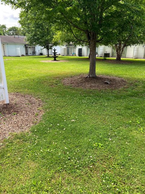 802 E Main St #5, Murfreesboro, TN 37130 photo 4