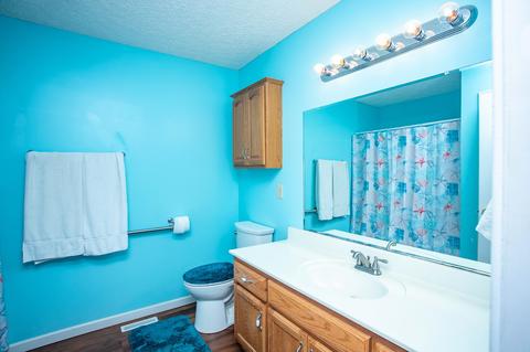 139 Deerfield Dr, Springfield, TN 37172 photo 18