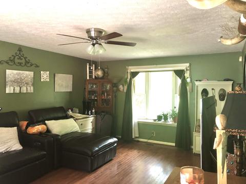 3529 Armstrong Rd, Springfield, TN 37172 photo 3