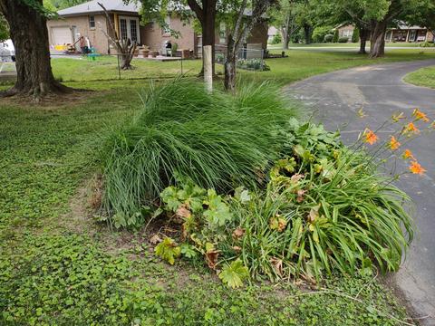 110 Sam Davis Dr, Springfield, TN 37172 photo 9