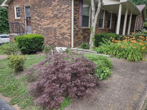 110 Sam Davis Dr, Springfield, TN 37172 photo 6