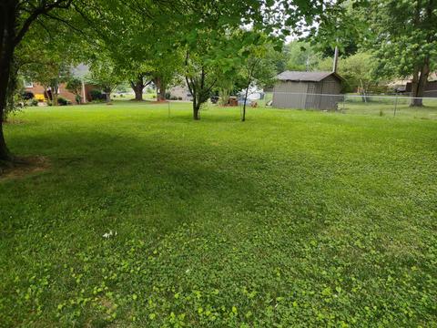 110 Sam Davis Dr, Springfield, TN 37172 photo 8