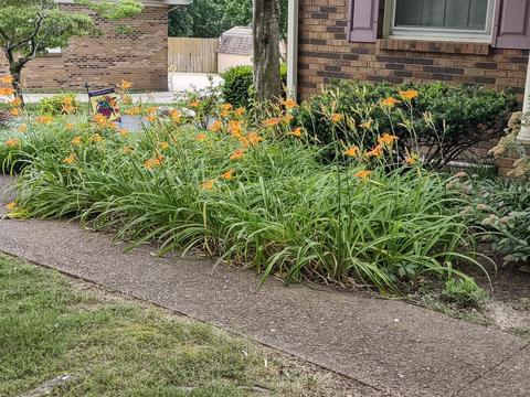 110 Sam Davis Dr, Springfield, TN 37172 photo 5