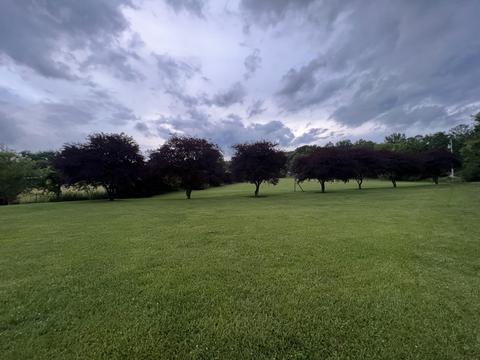 538 Dotson Cemetery Rd, Decherd, TN 37324 photo 14