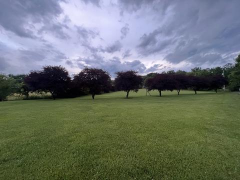 538 Dotson Cemetery Rd, Decherd, TN 37324 photo 17