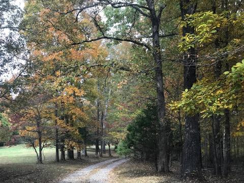 698 Log Wall Rd, Dickson, TN 37055 photo 3