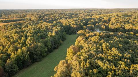 698 Log Wall Rd, Dickson, TN 37055 photo 48