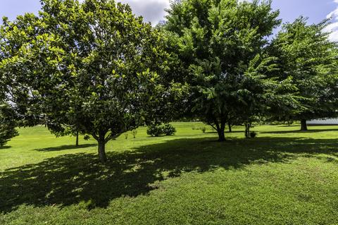 87 Deer Run Dr, Loretto, TN 38469 photo 14