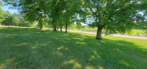 1915 Crescentview Rd N, Pulaski, TN 38478 photo 23