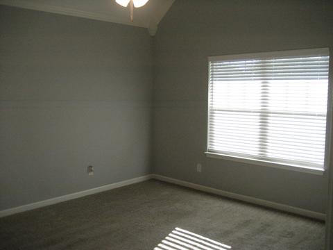 618 Golden Eagle Ct, Eagleville, TN 37060 photo 16