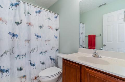 7001 Big Eagle Trl, Spring Hill, TN 37174 photo 12