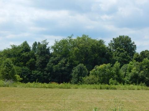 160 Armstrong Rd, Doyle, TN 38559 photo 33