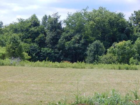 160 Armstrong Rd, Doyle, TN 38559 photo 32