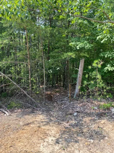 0 Piney Point Rd NE, Spring City, TN 37381